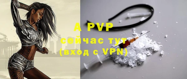 метадон Заполярный