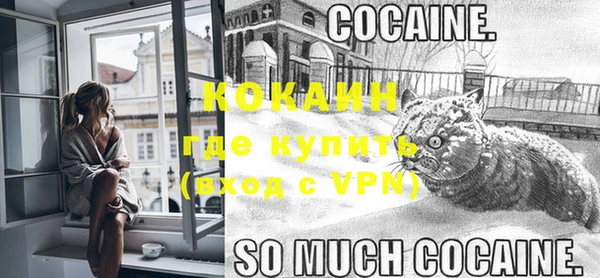 винт Заречный
