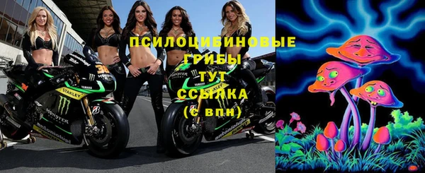 метадон Заполярный