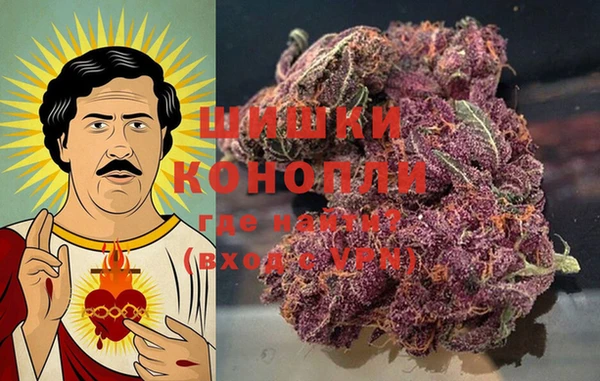 индика Верея