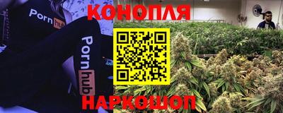прущие крисы Камышлов