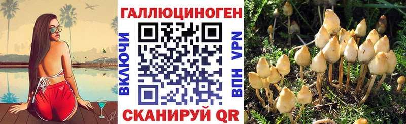 Псилоцибиновые грибы мицелий  Карабулак 