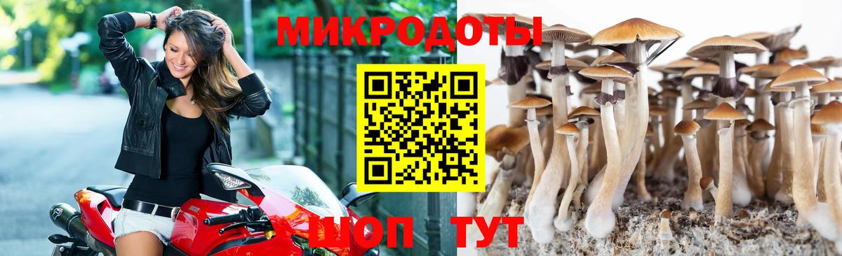 Псилоцибиновые грибы GOLDEN TEACHER  Вход с VPN  Карабулак 